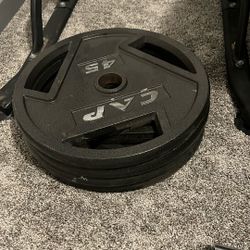 45 Pound plates 