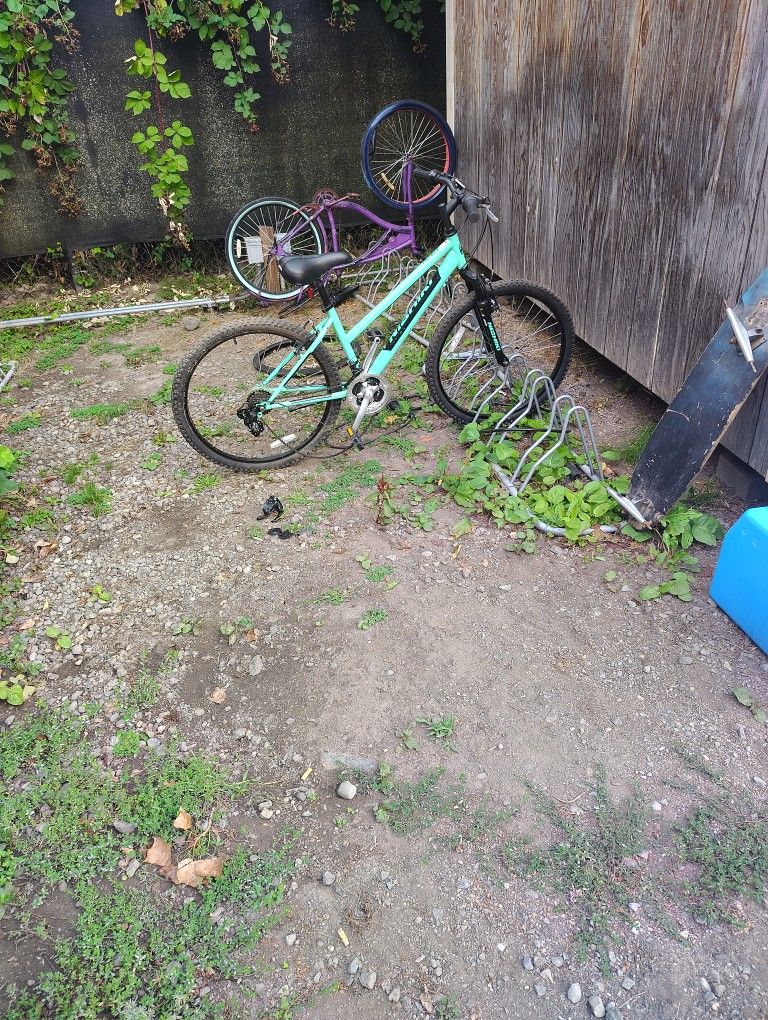 Nishiki Girls Bike