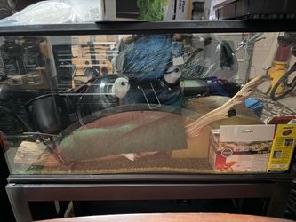 40 Gallon Reptile Tank