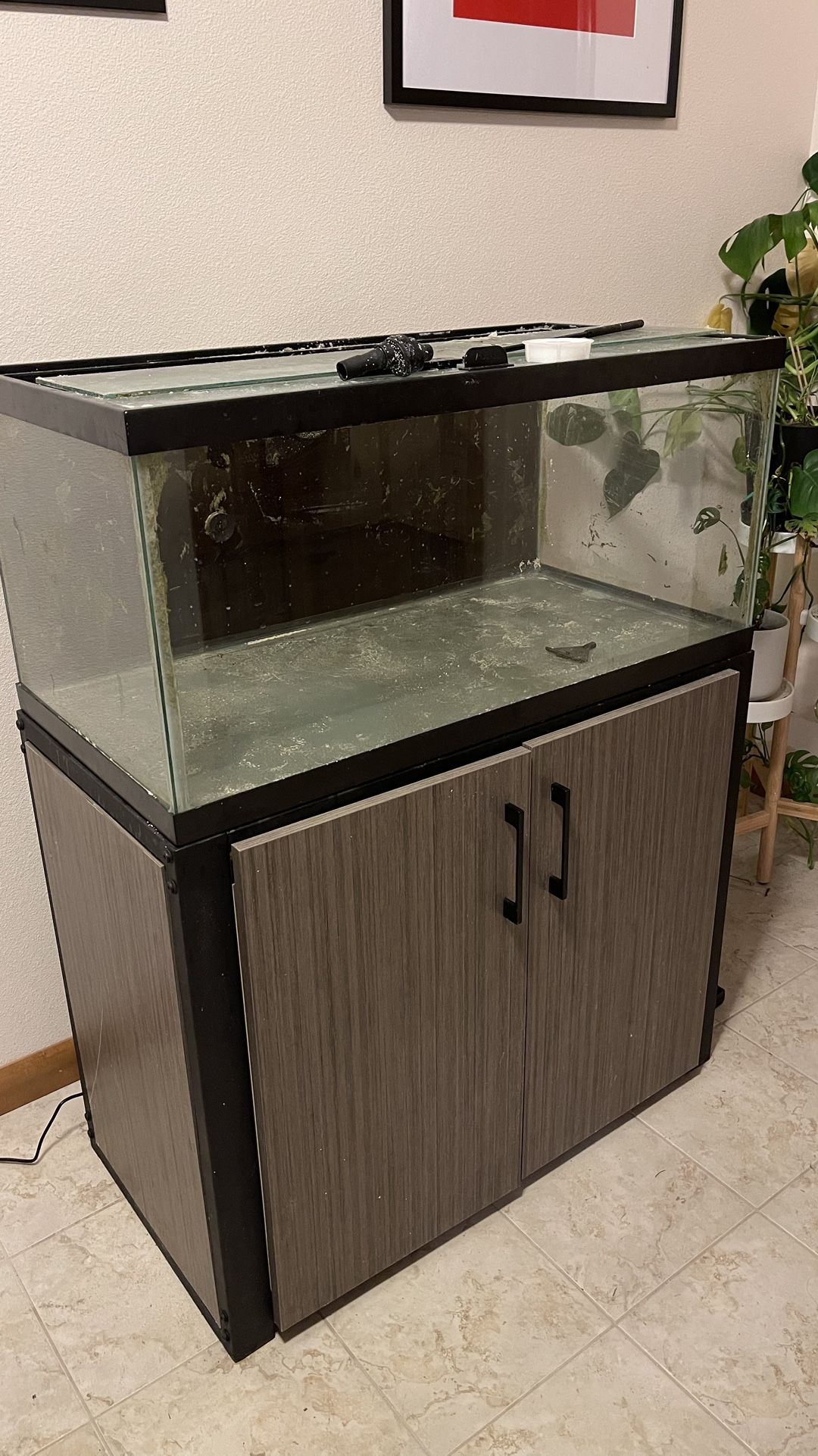 40 gallon saltwater Fish Tank With Stand, Pump And Heater- Set Up And Ready