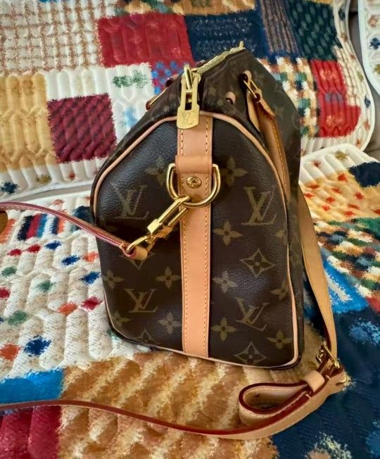 Louis Vuitton Speedy Chip Model