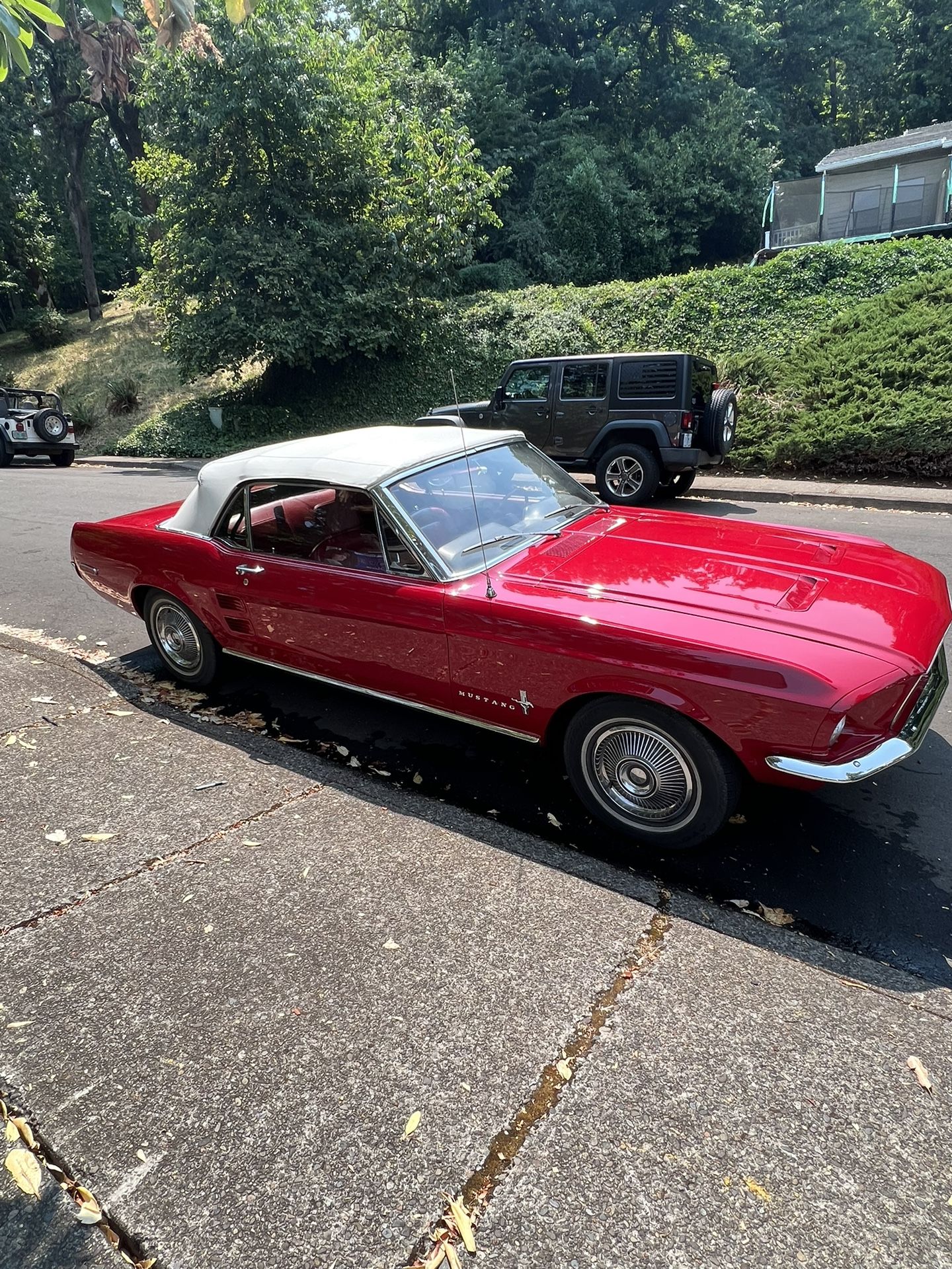 1967 Ford Mustang