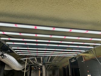 Grow Lights Professional