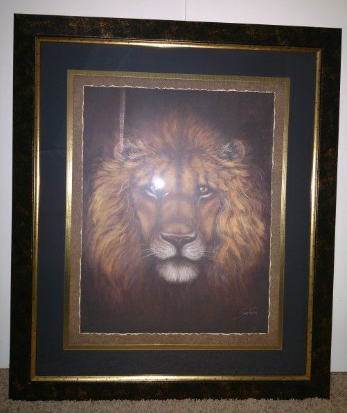 Large Lion Picture Print By Sam Bafaro