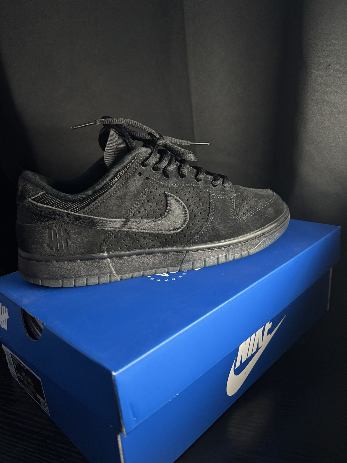 Nike Dunk Low Undefeated 5