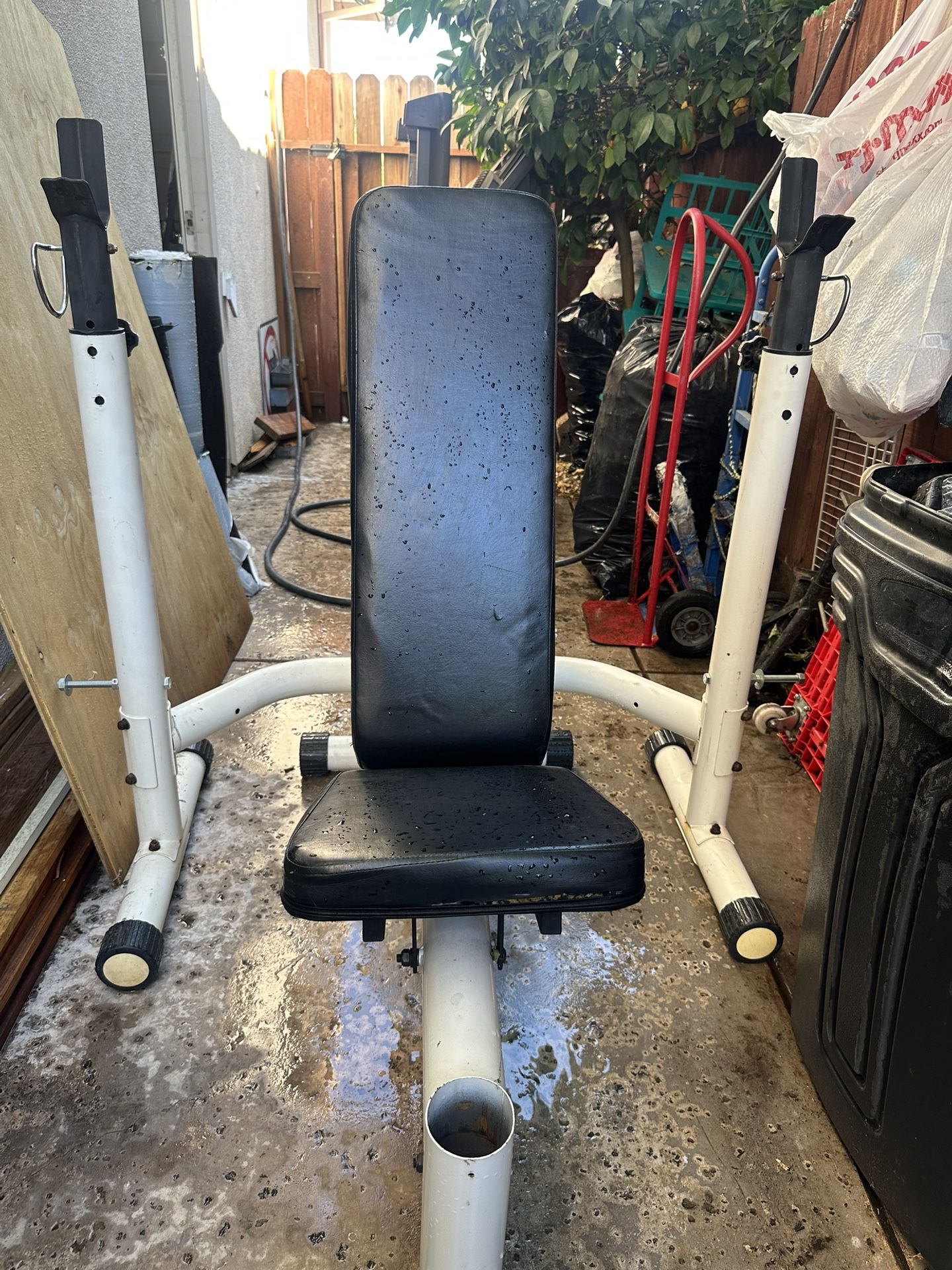 Weight Bench