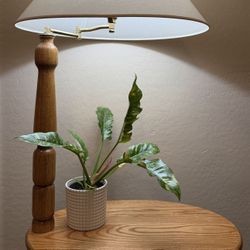 End Table Magazine Rack Lamp Oak