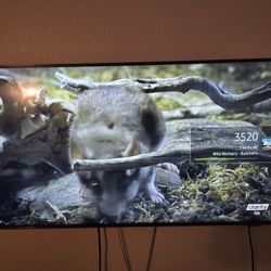 Samsung Tv