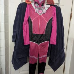 Skye Paw Patrol Costume 