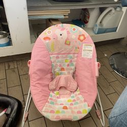 Baby Bouncer