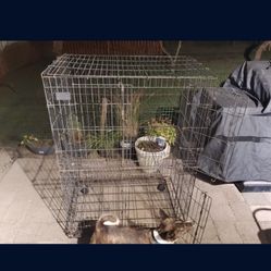 Large Collapsible Bird Cage