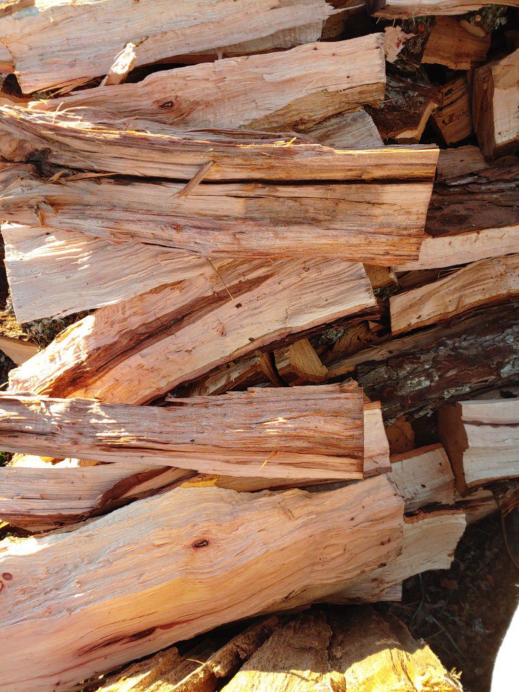Cords of pecan wood