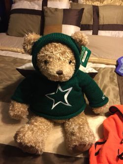 Bear new