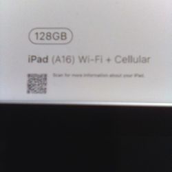 Ipad  (A16) WI-FI + Cellular 