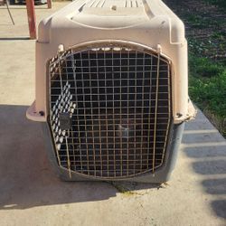 Dog Crate