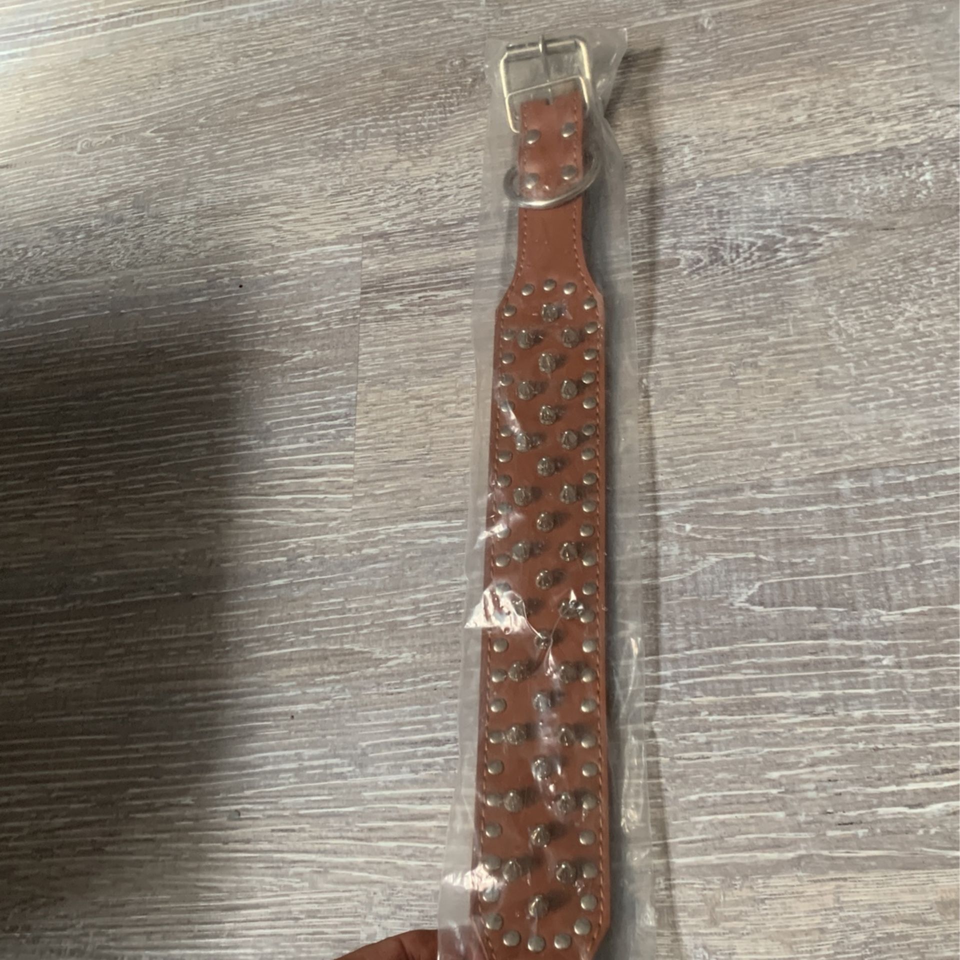 Pet Dog Collar With Spikes New