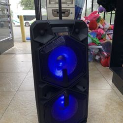 Dual 10” Portable Speaker
