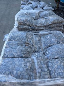 Mixed Colored Mexican Beach Pebbles