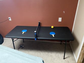Ping Pong Table 