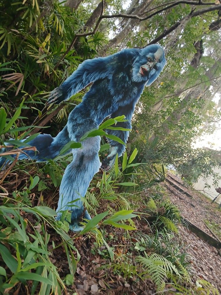 FLORIDA MAN SNOWBIRD EDITION