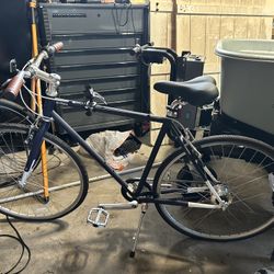 Priority Brilliant L Train Bicycle