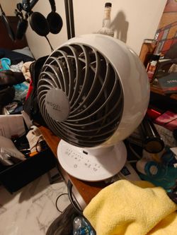 Fan