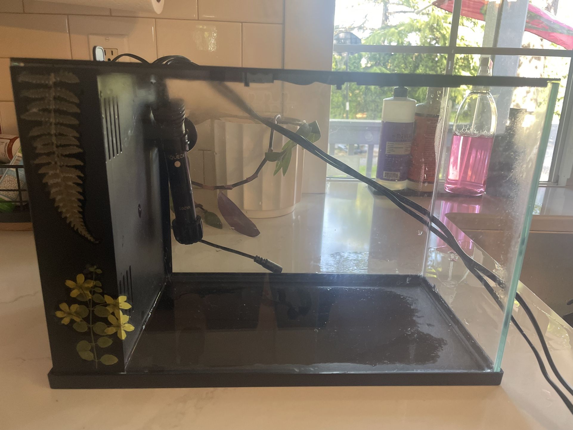 3 Gallon Easy Clean Aquarium