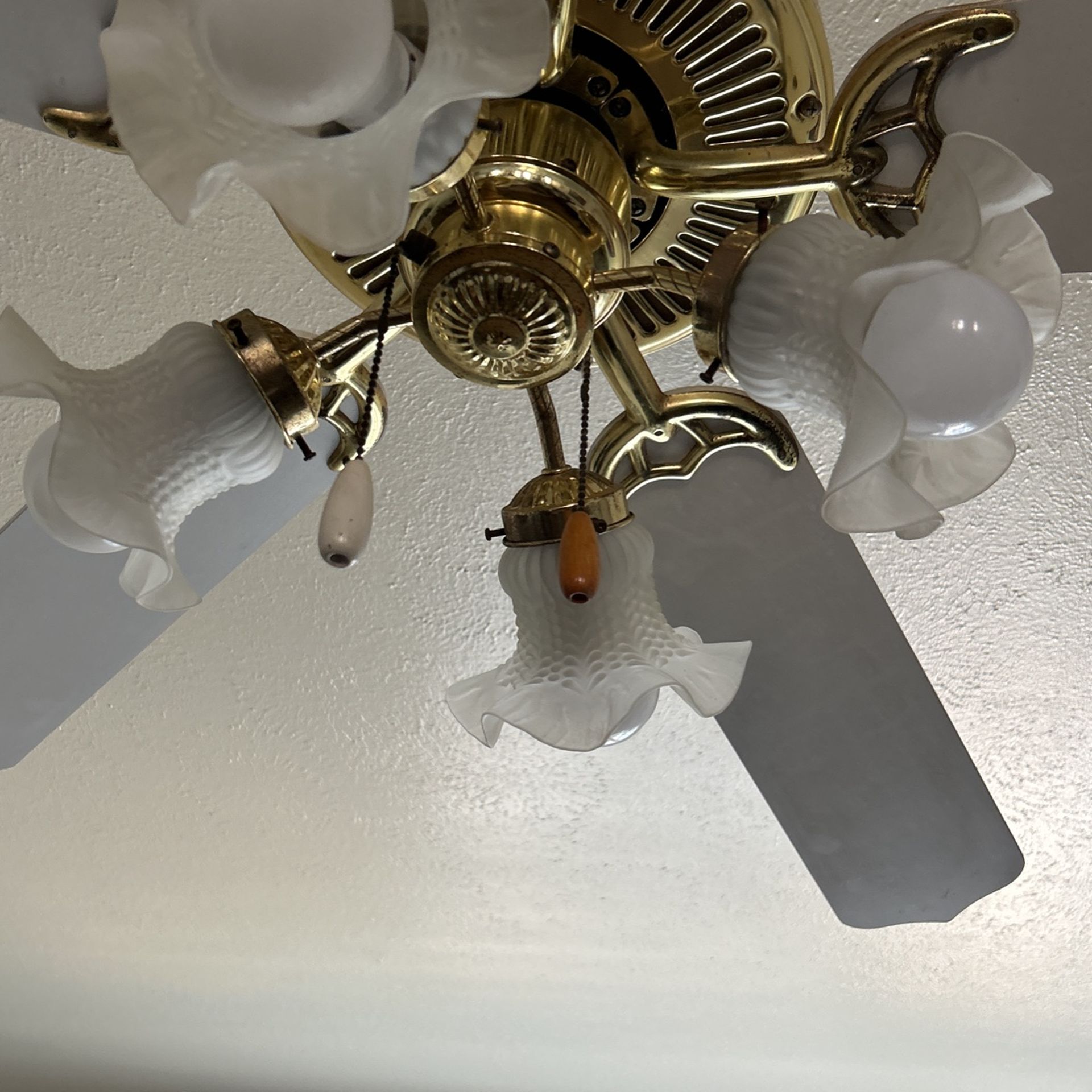 Ceiling Fan