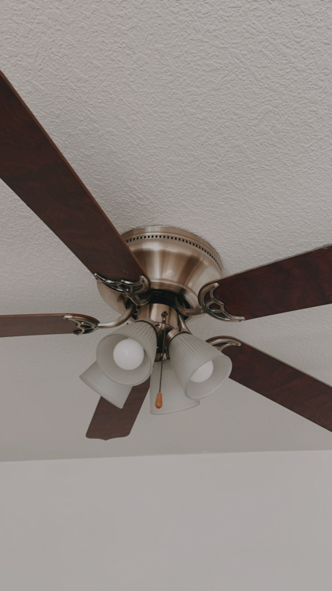 Ceiling Light Fan