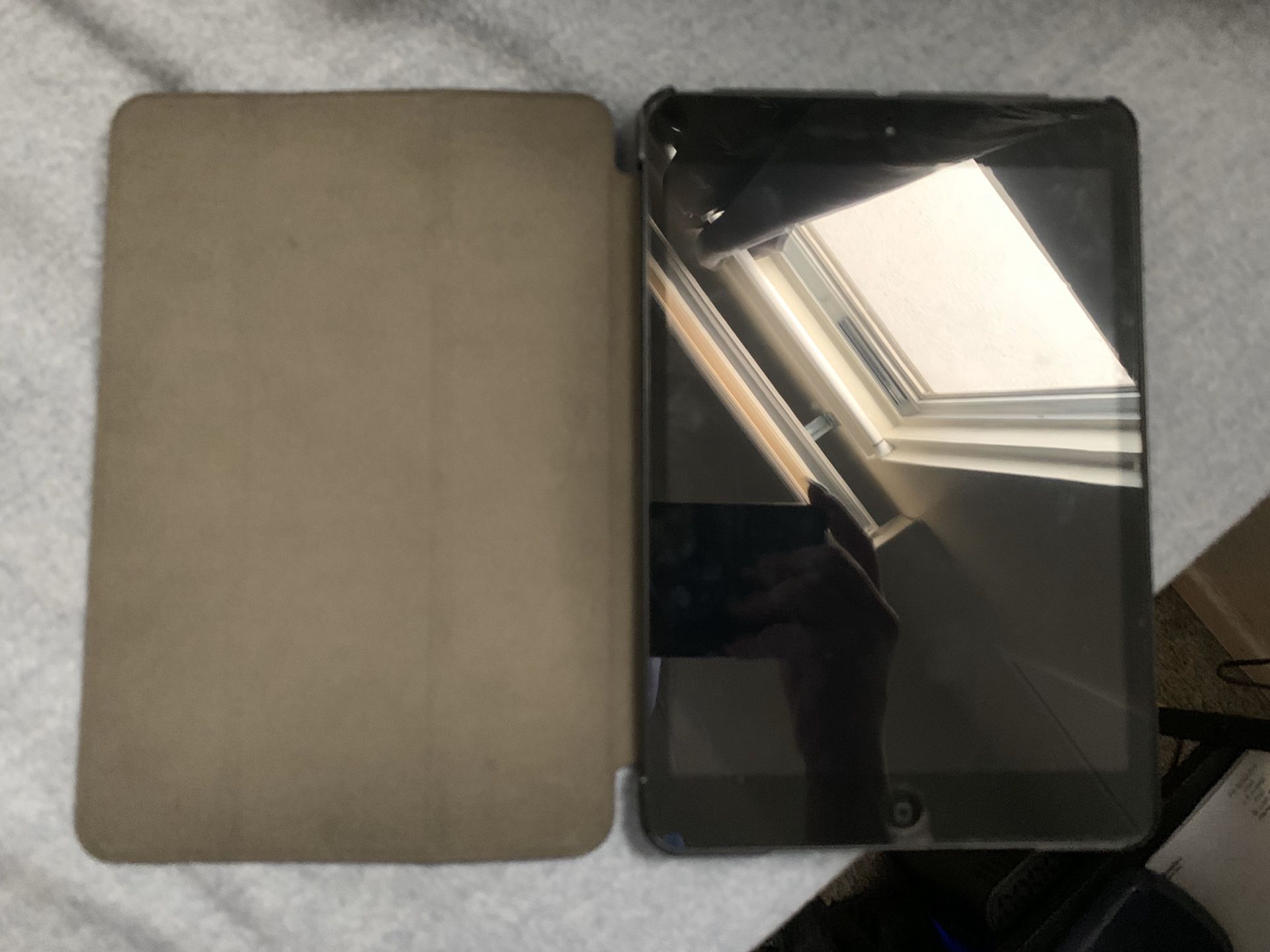 iPad mini - 1st gen (with case)