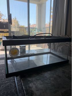 Reptile tank