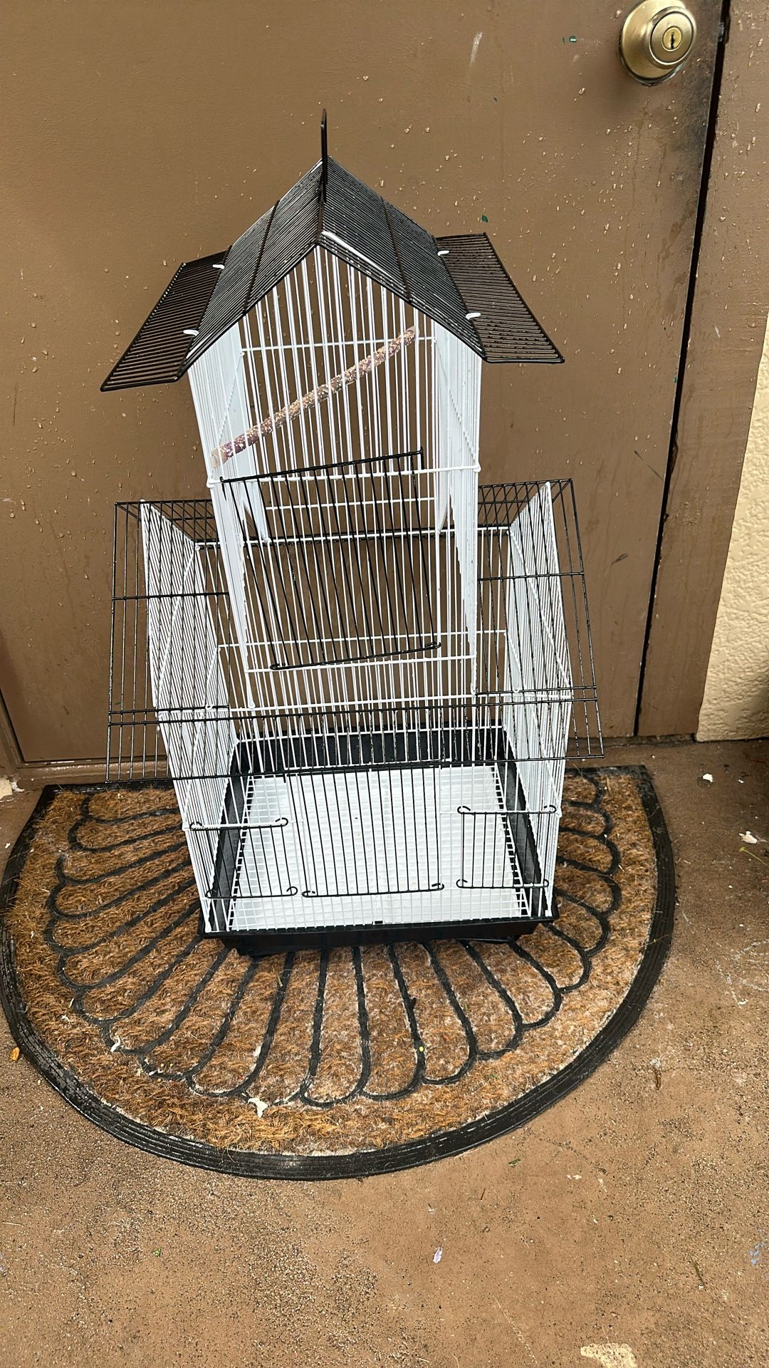 Bird Cage