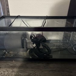 Fish Tank With Accessories 