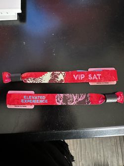 Nocturnal Wonderland 2024 2 Sat VIP Passes