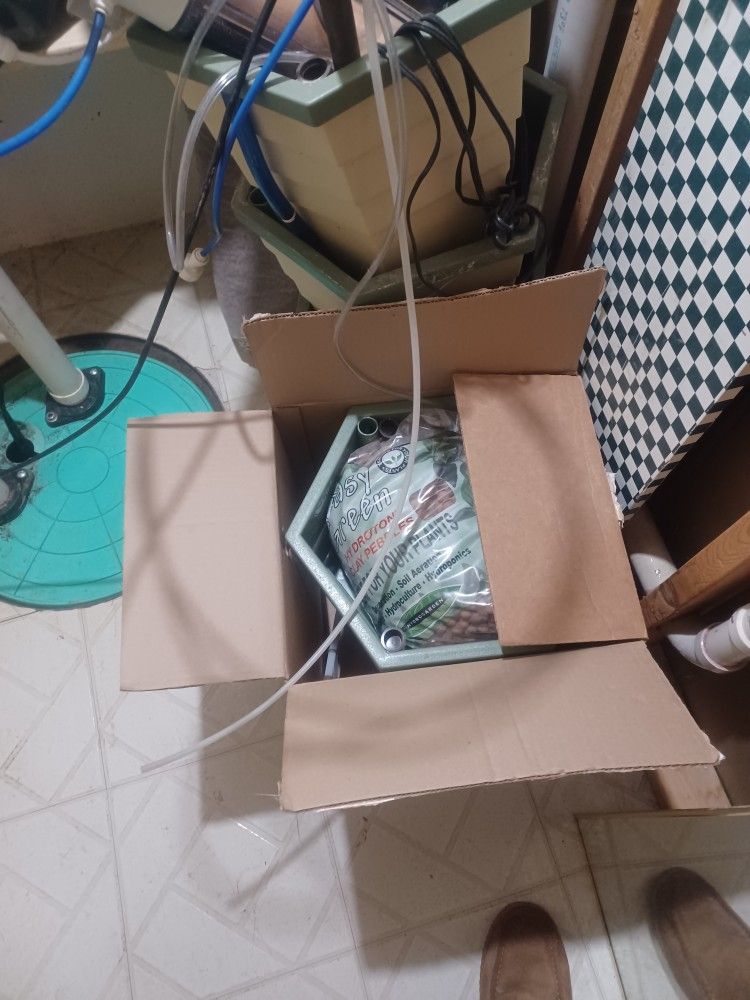 Hydroponics Equipment Chemicalsbeads Planters Everything Needed