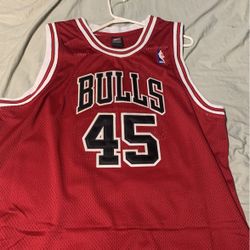 Michael Jordan Nike Jersey 