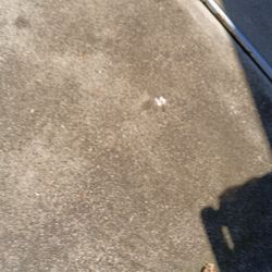 7 x 7 ROCA Tiles  20 boxes 30 pieces 