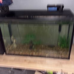 29 Gallon Top Fin Tank With Filter Light Substrate And More 