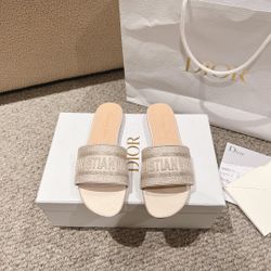 Dior letter webbing design flat cool slippers(172)70