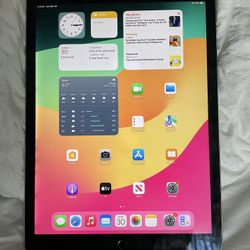 iPad Pro 12.9 Inch 2 Generation 512gb Works Like New WiFi And Cellular 