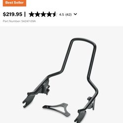 Brand New Black Genuine Harley Davidson Passenger Backrest Upright & Pad 2009-2024