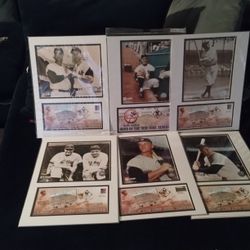 Yankee Collection 