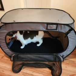 Pet Carrier And Bed (Cat Not Included)