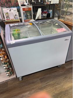 Double glass door Floor freezer