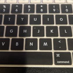 Laser Jet And Designjet MFP