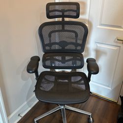Ergo Human Office Chair