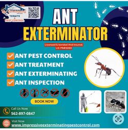 Ant exterminator gel