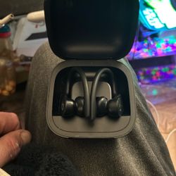 Beats Pro 2 Earbud Over-the-ear Headphones