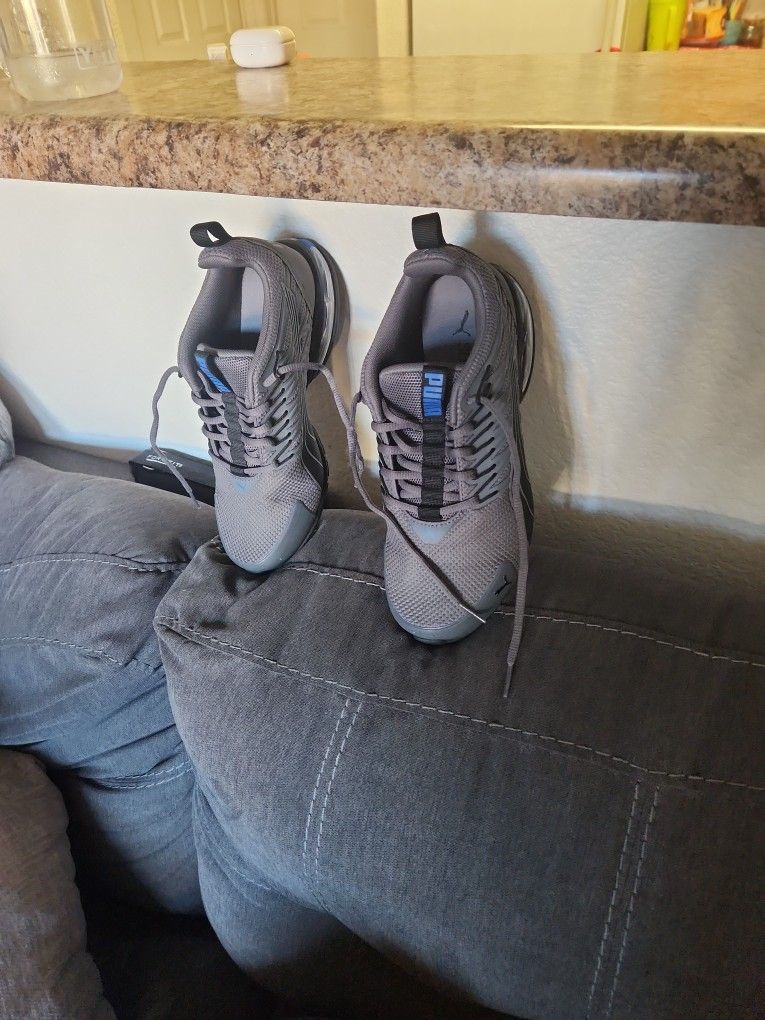 PUMAS