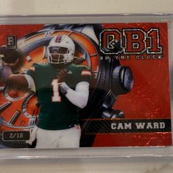2024 Wild Card Cam Ward RC Cars 2/18 🔥